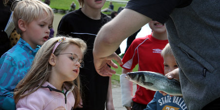 Falkeøjes søndagsarrangement