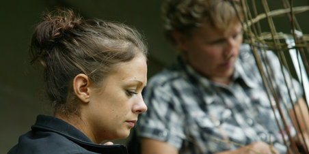 Pileflet ved Moesgård