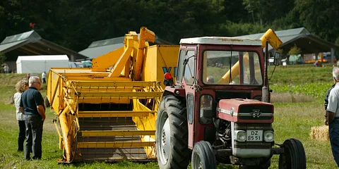 Høst og Dyrskue på Gl. Estrup