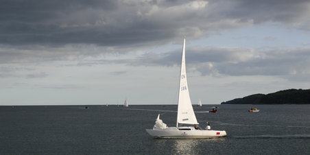 Gulddrenge i Århus Bugt