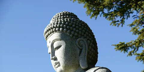 Den Japanske have i efterårsfarver