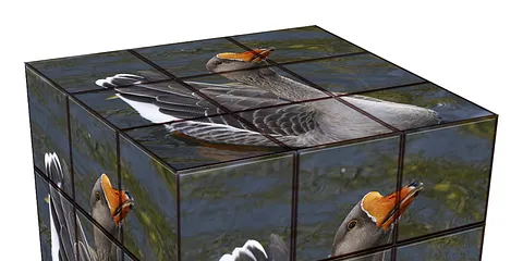 Turen går til Den Gamle By