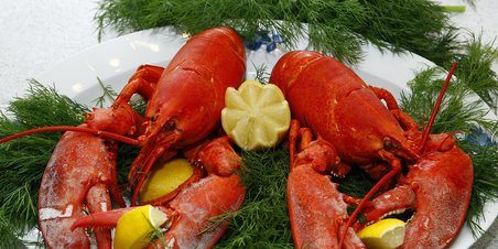 Hummer, og godt nytår til alle!