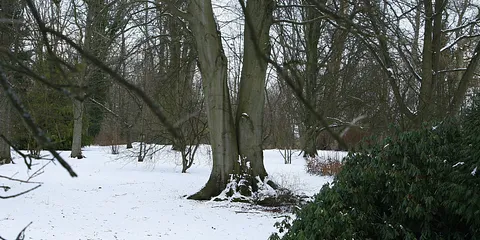 WALKING OUT foto 10.01.2010