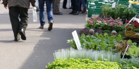 WALKING OUT grønttorv foto 07.04.2010