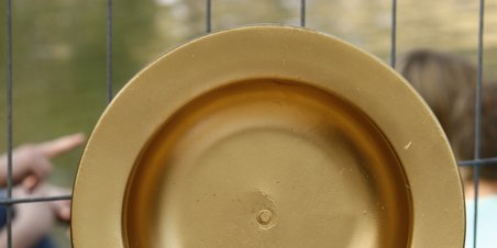 Sejlads og hygge i Uni-Parken