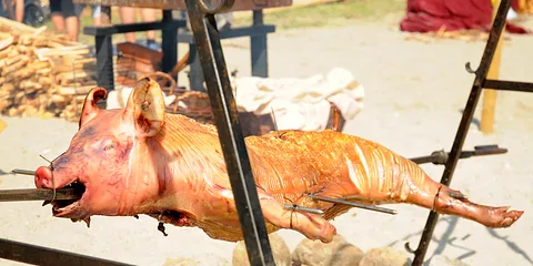 Moesgaard i vikngetiden