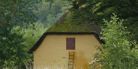Østersfest på stenaldermaner