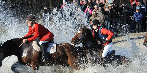 Hubertusjagt 2010 ved Moesgård