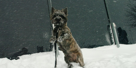 Snestorm over Østjylland