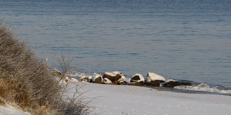 Moesgård Strand, kold - kold decemberdag