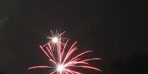 Spotted ønsker godt nytår