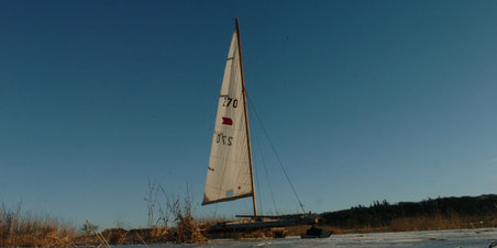 Brabrand Engsø den 2 Januar 2011