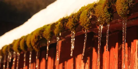 Pinds Mølle i Vinterdragt