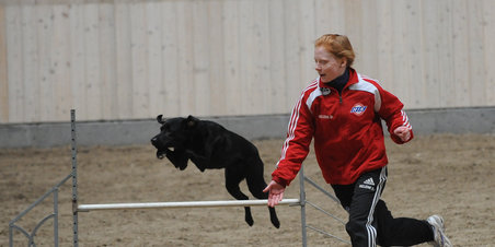 Agility stævne på Vilhelmsborg