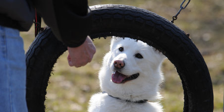 Åben hus hos DCH Hasselager