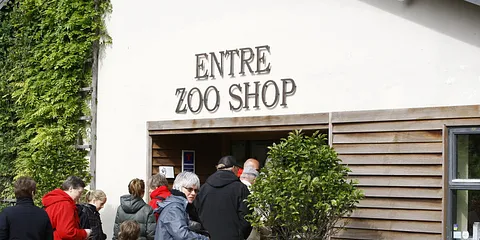 Ree Dyrepark 2011
