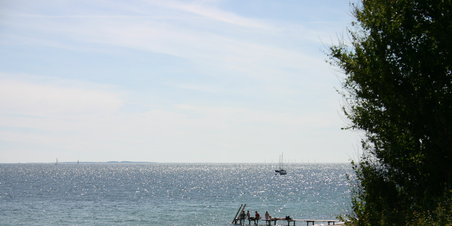 Moesgård: Vikingetræf