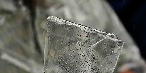 5 udvalgte fra Promenadekoncerten i Den Gamle By