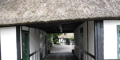 Walking out Skovmøllen Århus