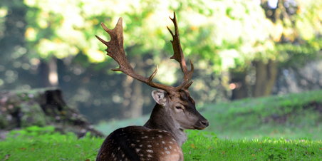 Efterårssol over Aarhus.