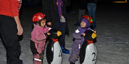 Skøjtehallen holdte åbent hus