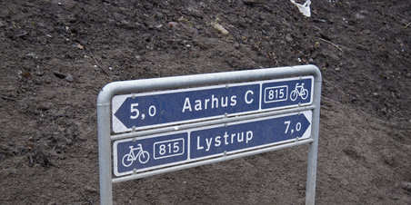 En gåtur rundt om Mollerup Skov