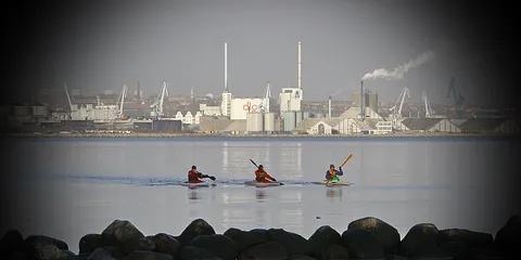 Blommehaven og omegn januar 2012