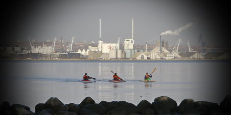 Blommehaven og omegn januar 2012