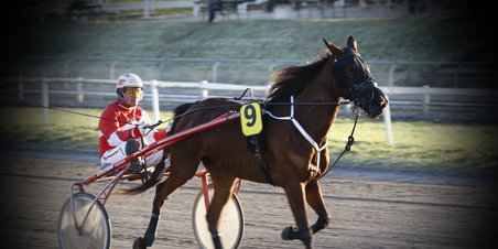 Jysk Væddeløbsbane 15.01.2012