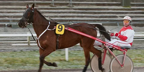 En søndag på Væddeløbsbanen i Århus