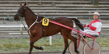 En søndag på Væddeløbsbanen i Århus