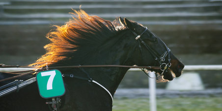 Søndag på travbanen til årets første løbsdag