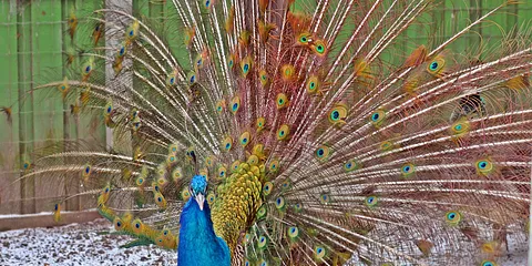 Lystrup´s Perle - Legepladsen Søndergaard