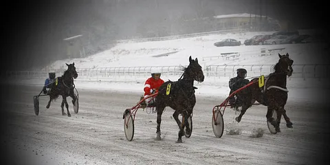 Jysk Væddeløbsbane 29.01.2012