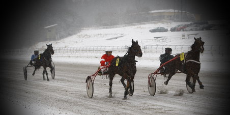 Jysk Væddeløbsbane 29.01.2012