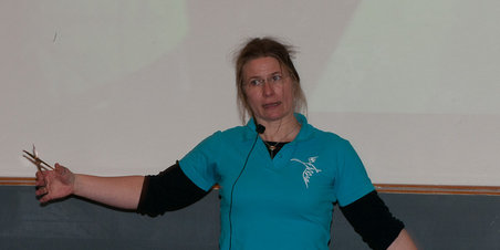 Hvad slangeskindet gemte