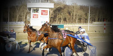 Jysk Væddeløbsbane 26.02.2012