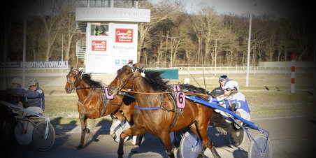 Jysk Væddeløbsbane 26.02.2012