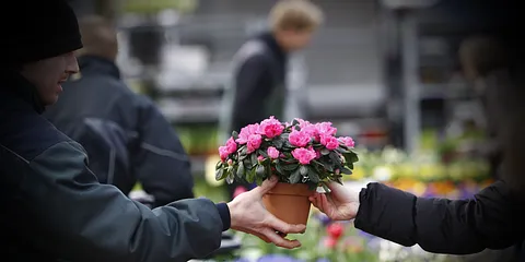 Grønttorvet 13.03.2012