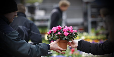 Grønttorvet 13.03.2012