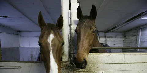 FyraftensTrav på en Onsdag