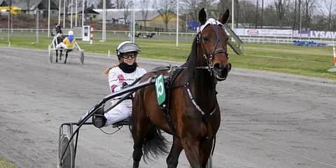 Åbent hus på Jysk Væddeløbsbane 01.04.2012. Galleri 1