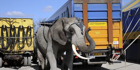 Bag cirkusteltet på Tangkrogen søndag den 15. april 2012