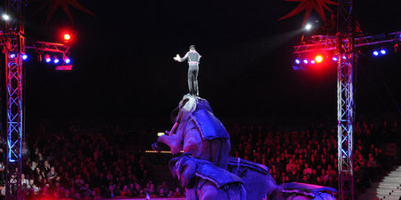 Med Spotted i Cirkus Arena den 20. april 2012