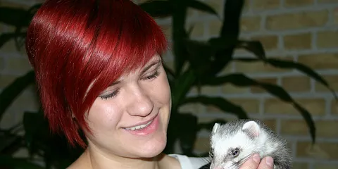 Naturhistorisk Museum - ilderen, et dejligt kæledyr