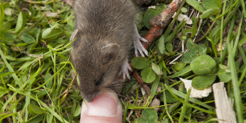 Dagen derpå i Universitetsparken 