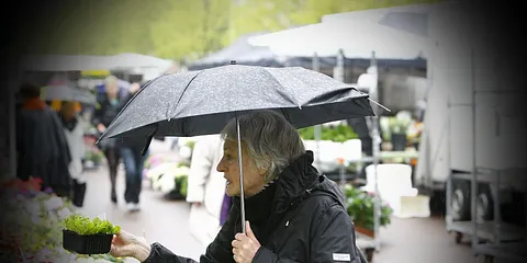 Grønttorvet 09.05.2012 Forårsregn