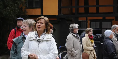 ... At være baggårds kat, det er et hundeliv