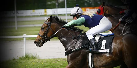 Travbanen Århus 19.05.2012 Galopdag